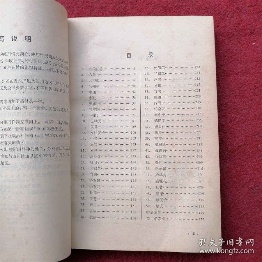 绝骨 绝骨