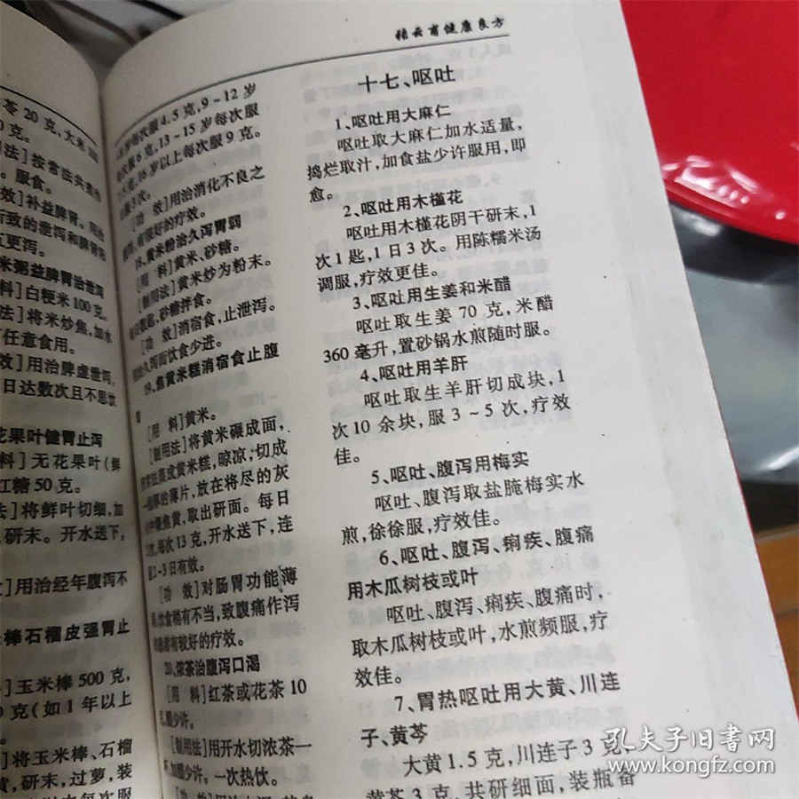 内质网的功能是什么（内质网的功能）