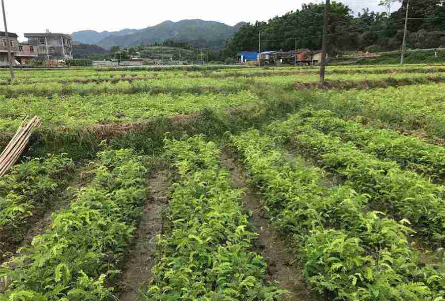 情侣间的虎狼之词 撩到腿软的污污的情话