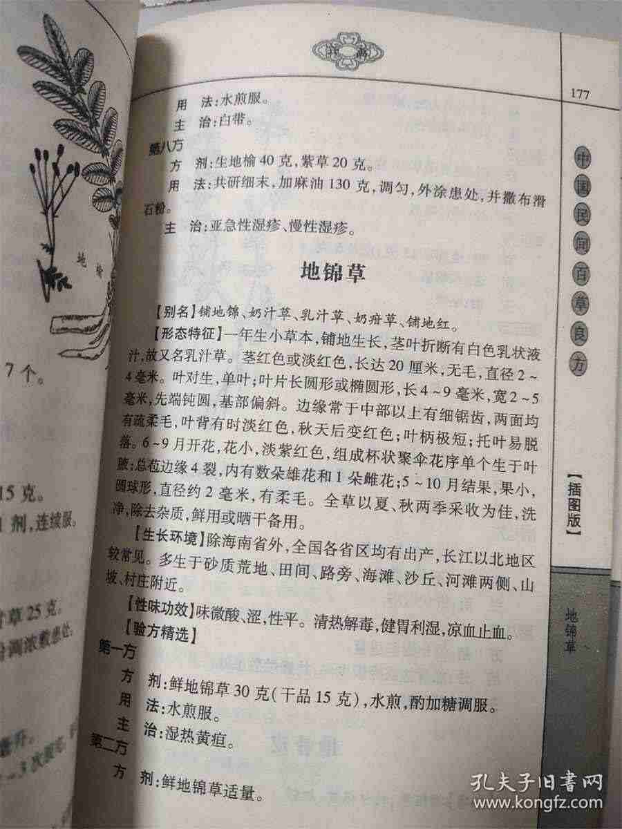 胡萝卜粥 胡萝卜粥