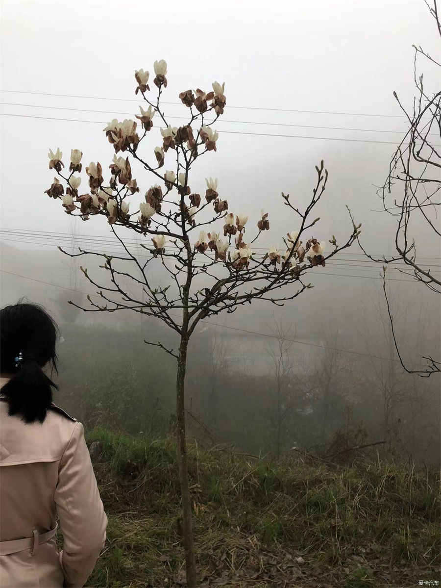 第一节　鼻及鼻窦的解剖及生理(当前章节内容组合) 鼻窦解剖图三维模型