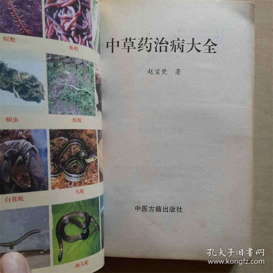 西洋参的5种常用吃法中药材使用方法中药材的正确吃法 西洋参的食用方法与用量