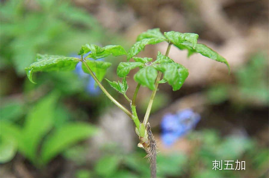 除权是什么意思,对股票有啥影响 股票除权什么意思