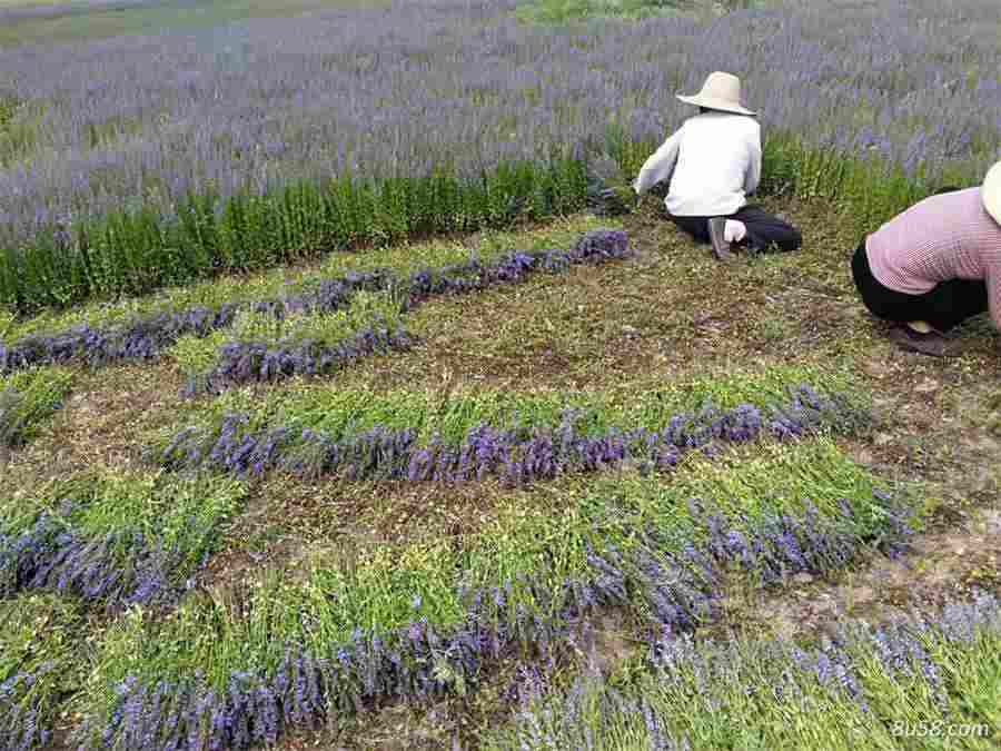 梁王山梁王山在哪里历史地名