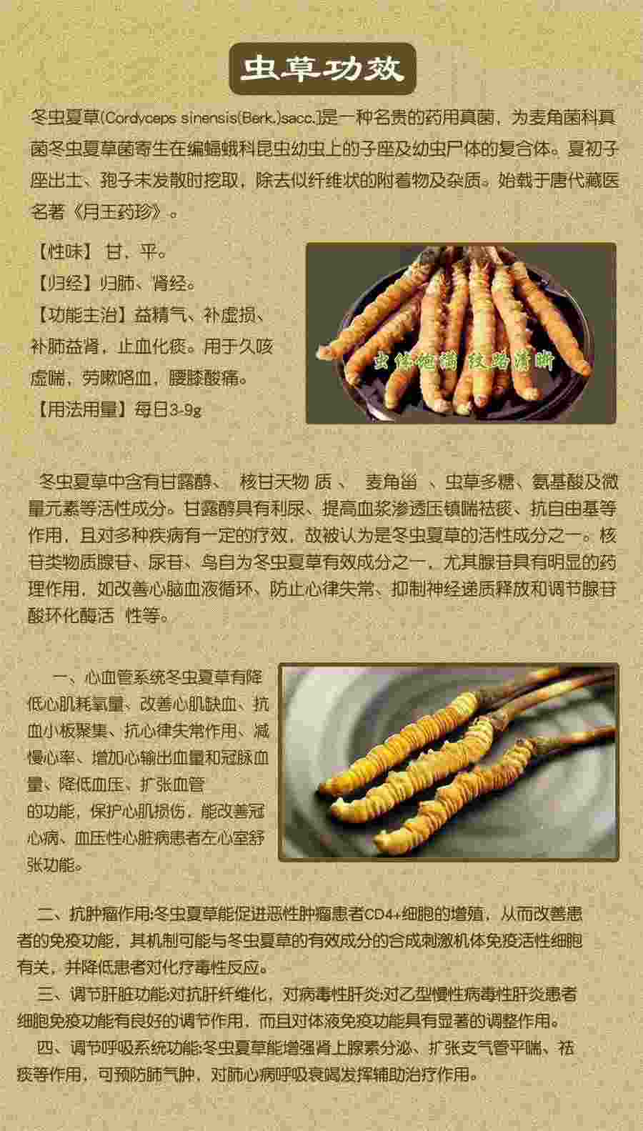 金樱子的功效与作用？ 金樱子的功效与作用主要治什么病症