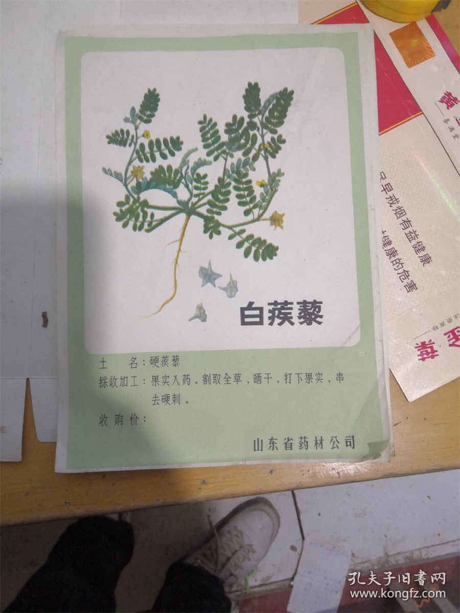 大花角Dahua Jiao 大花角潮汐表