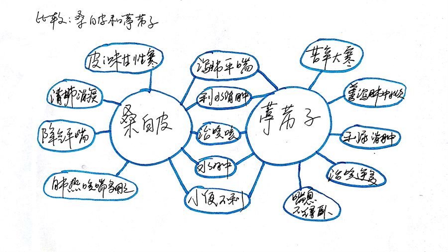 脾，其华在唇四白 唇四白