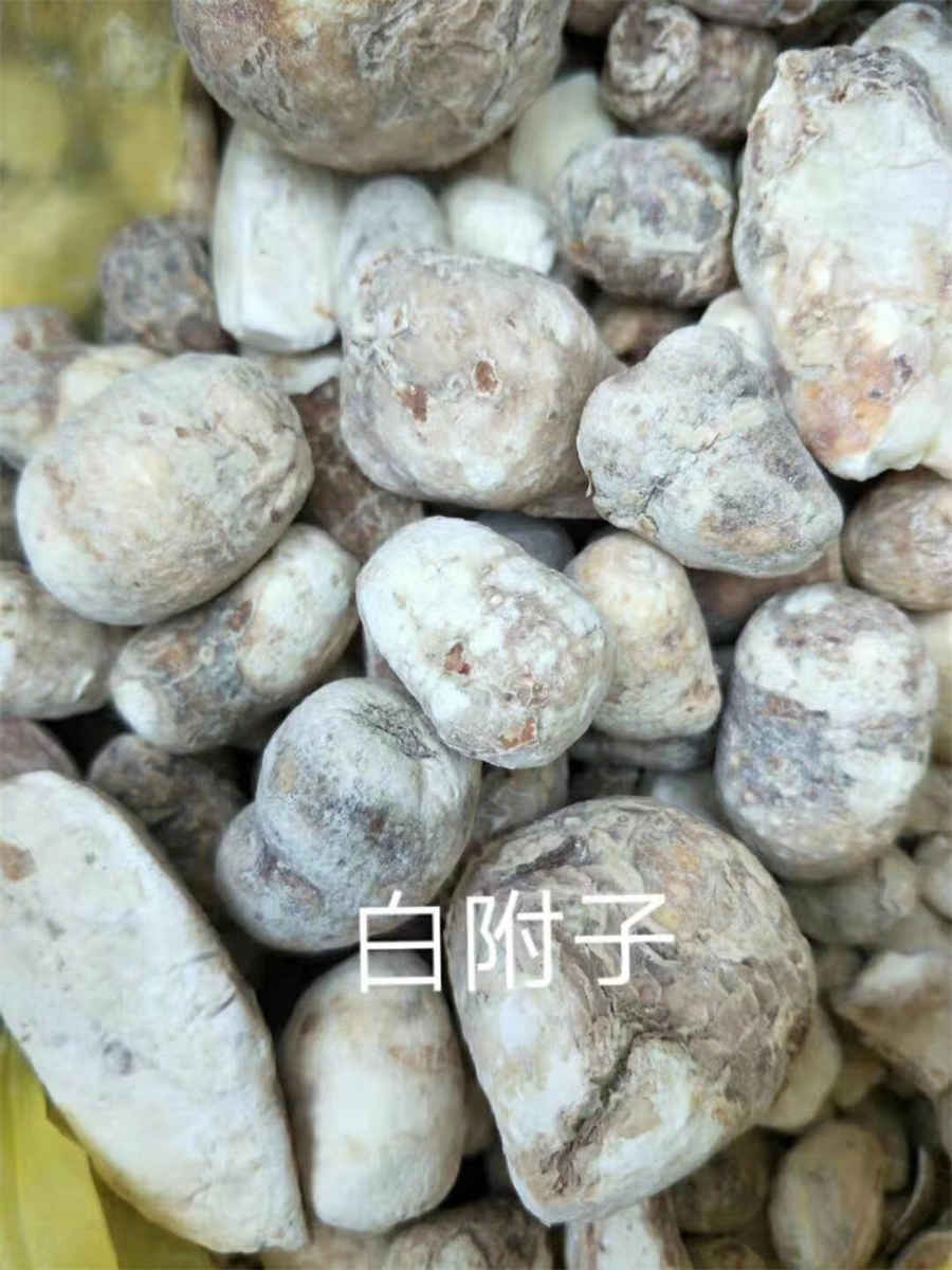 附方 附庸 十味