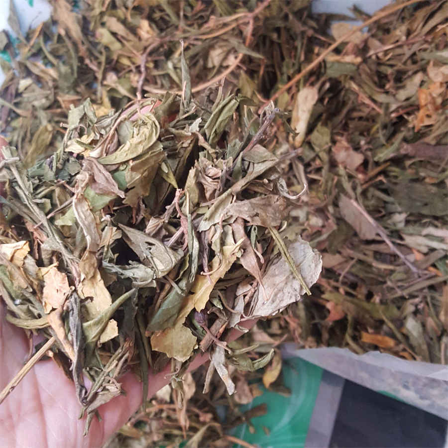 重楼的正确吃法和禁忌中药材食用配伍禁忌