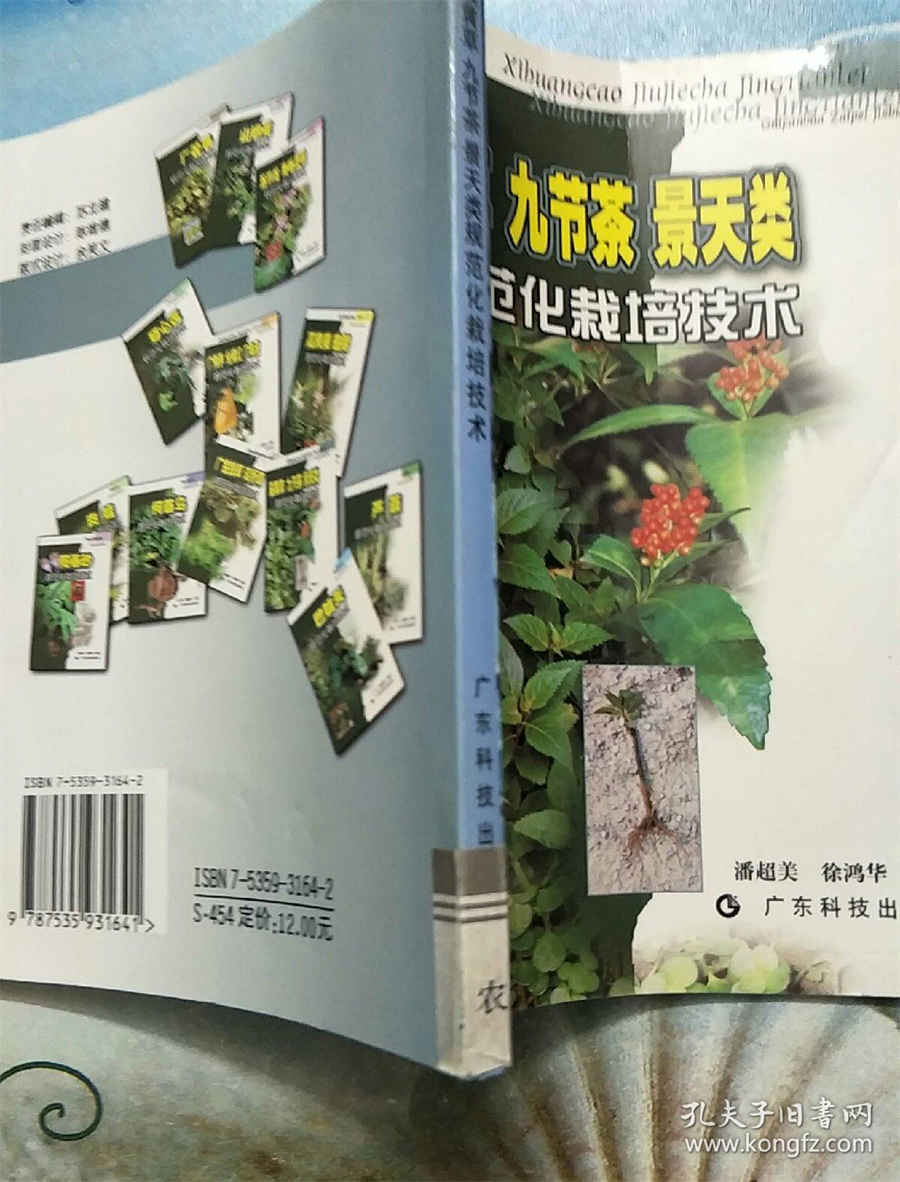 天麻可以放多久？科普天麻的保质期多久中药材知识