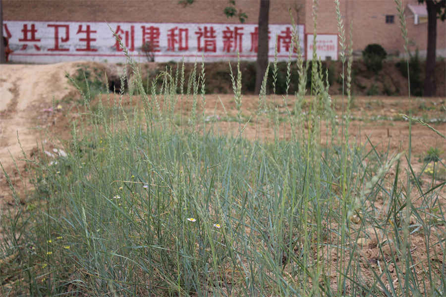 淀 （澱） 山淀 （澱） 山在哪里历史地名 淀山