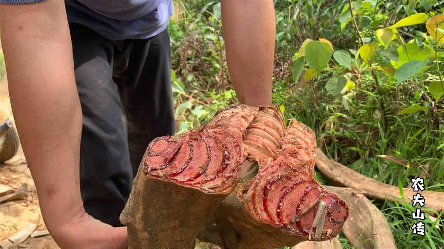 十二星座的佳配对表,来看看你和另一半的配对吧