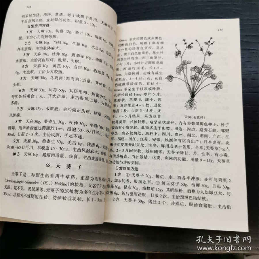 关于婆媳的名言语录大全20句经典 婆媳至理名言