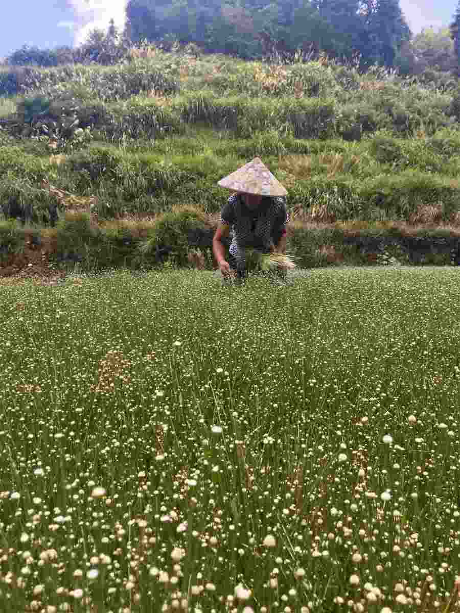 对于痛风患者来说能吃鱼吗 请问痛风患者可以吃鱼吗