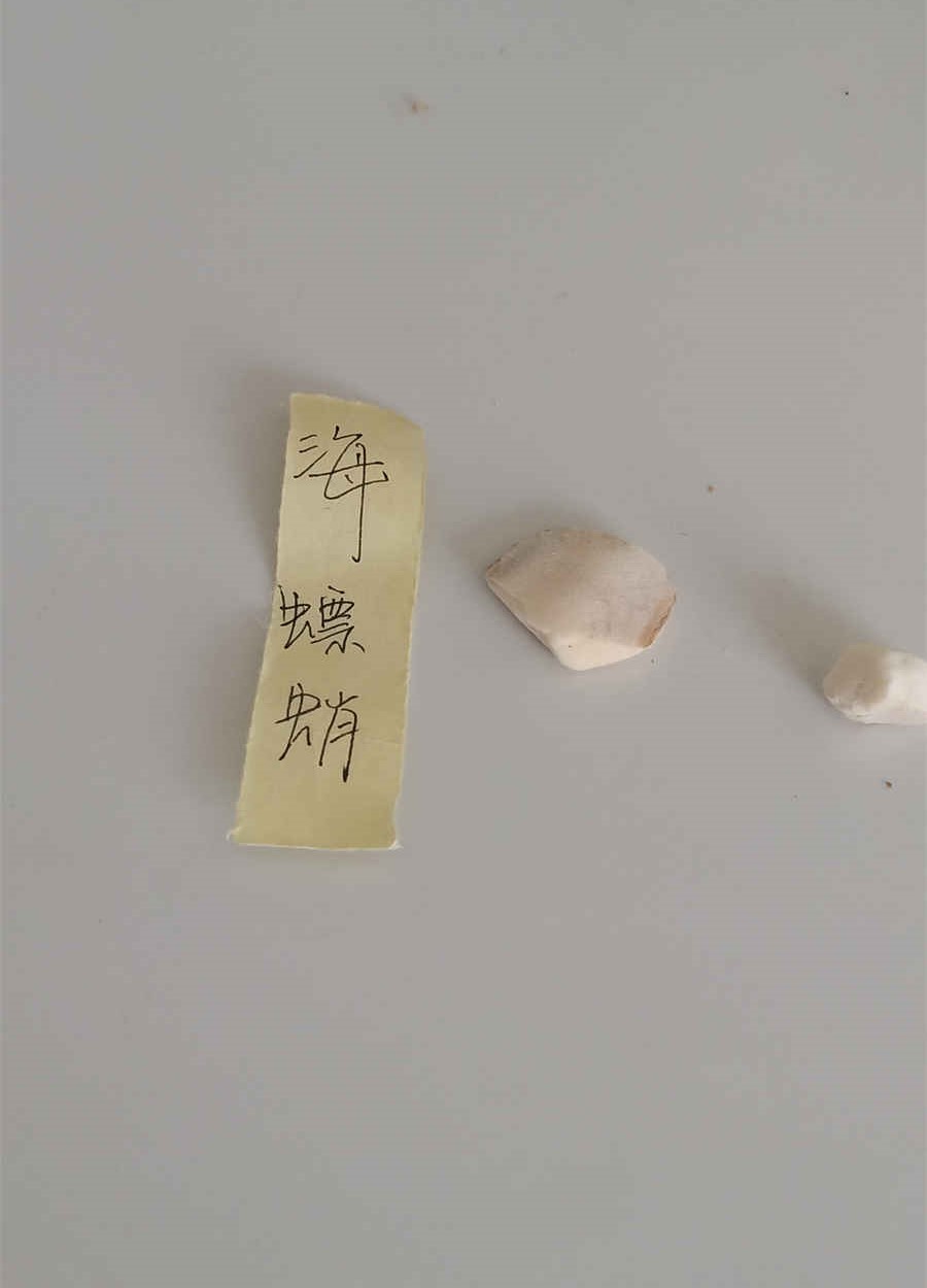 果州果州在哪里历史地名 果州教育集团旗下学校