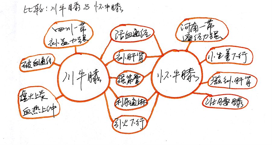 黑暗神秘四奥是哪四位